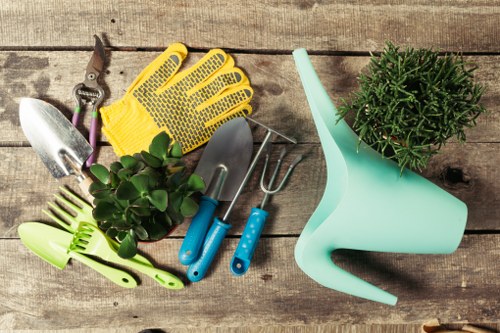 Professional hedge cutting service for a Camden residential garden